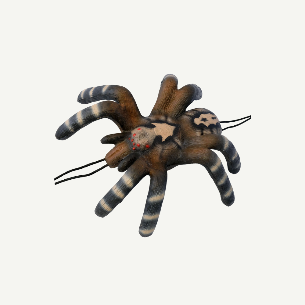 100373 Leitold Kleine Vogelspinne