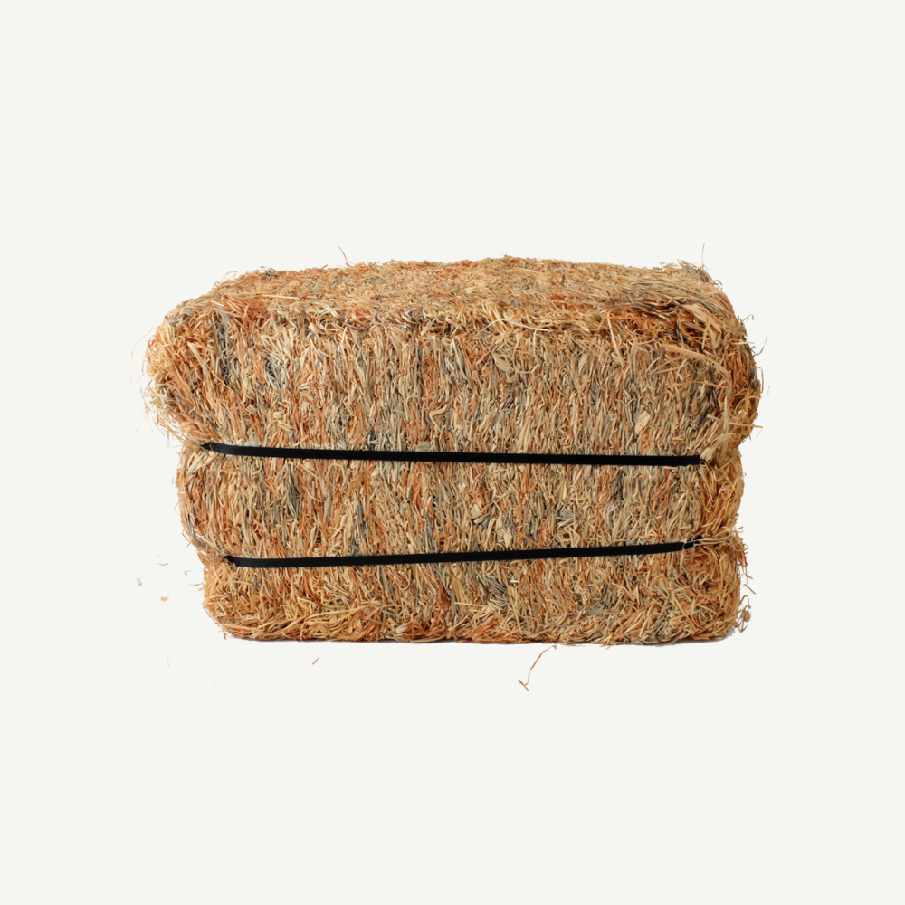 Holzwolleballen Big 30 kg