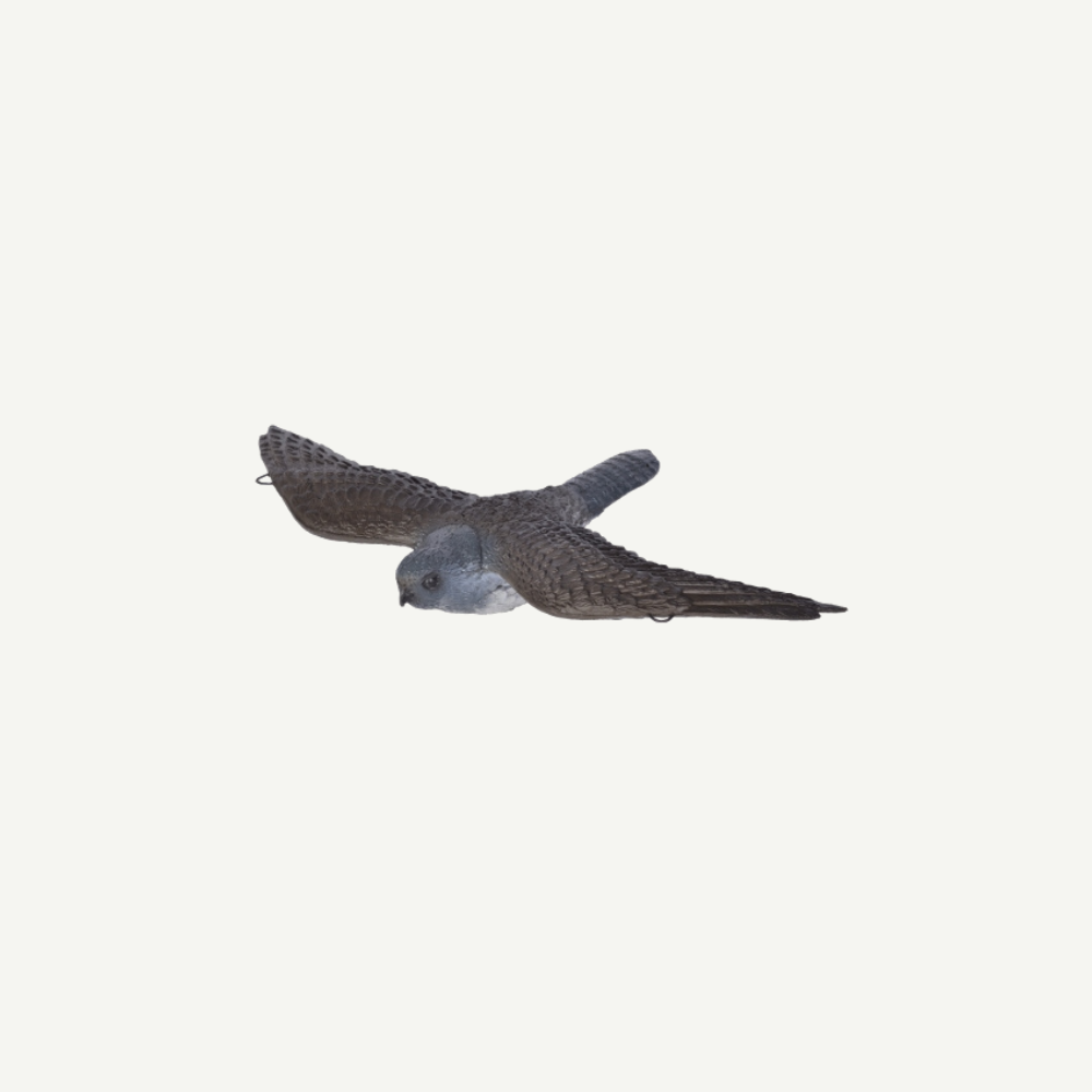 3D Tier Franzbogen Fliegender Falke