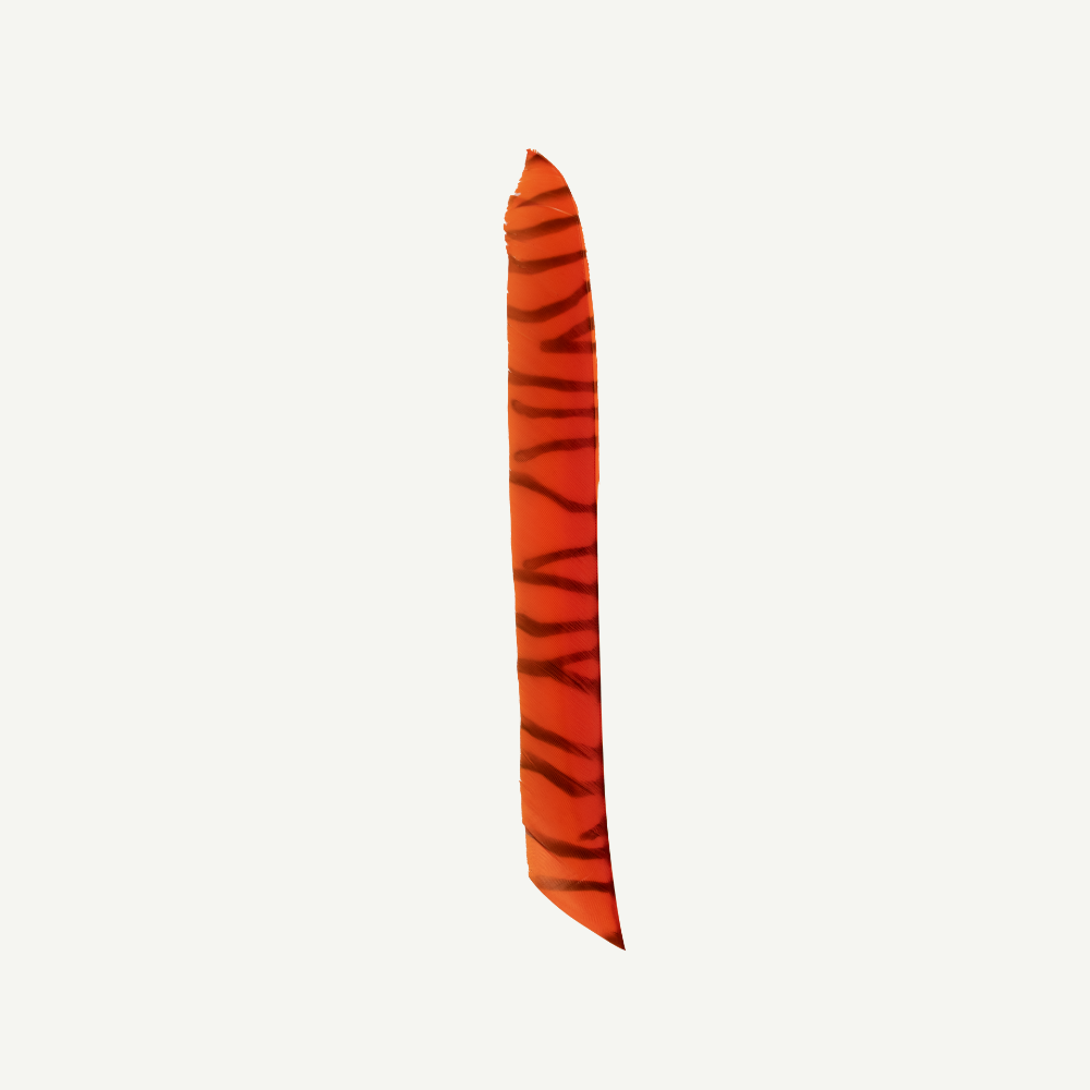 Feder RW Volle Länge zebra orange schwarz