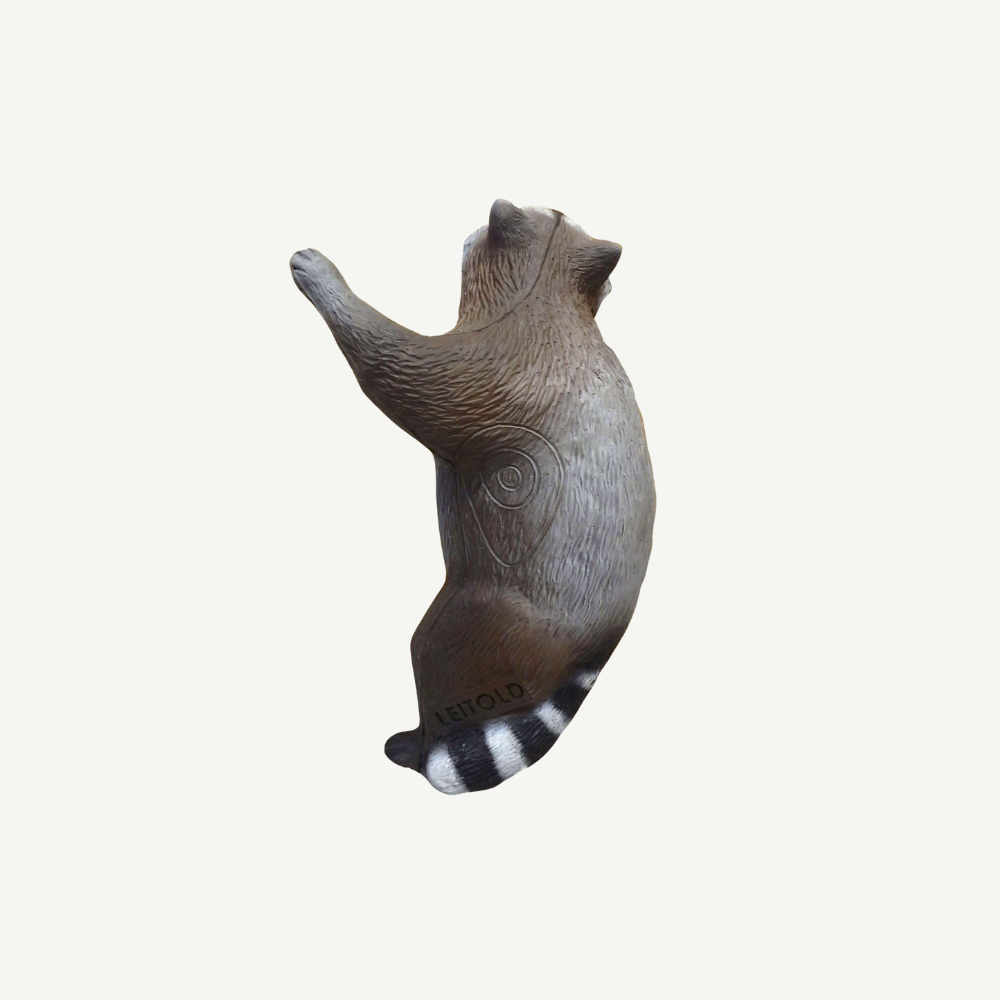 Leitold Waschbär kletternd