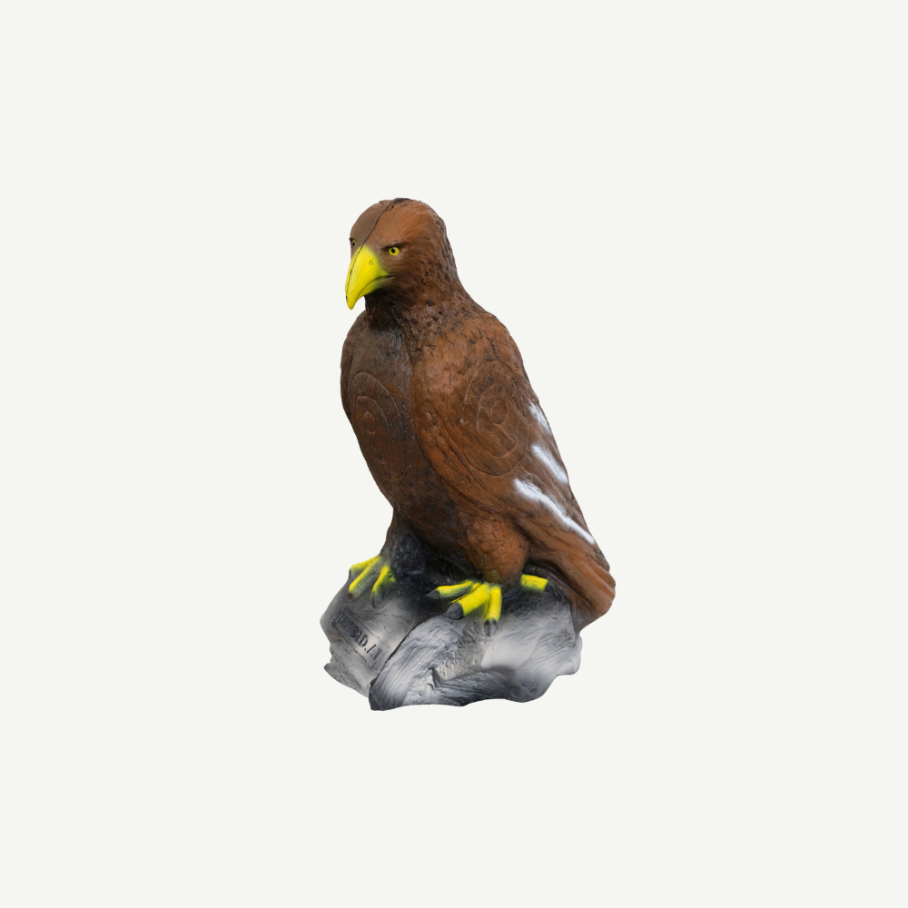 Leitold Steinadler sitzend