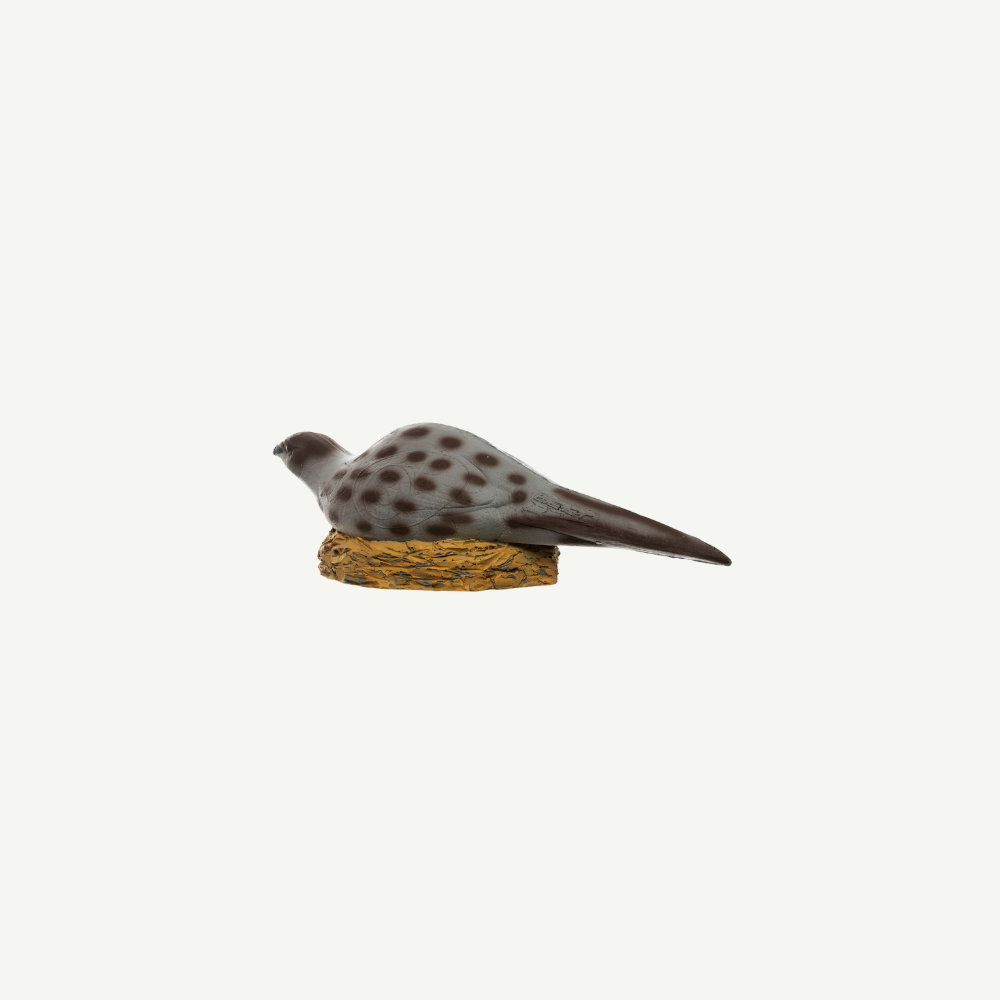 IBB 3D Tier Fasanenhenne, auf einem Nest sitzend