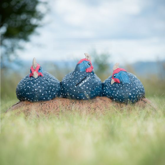 Wildcrete 3D Target - Hühnervögel Trio