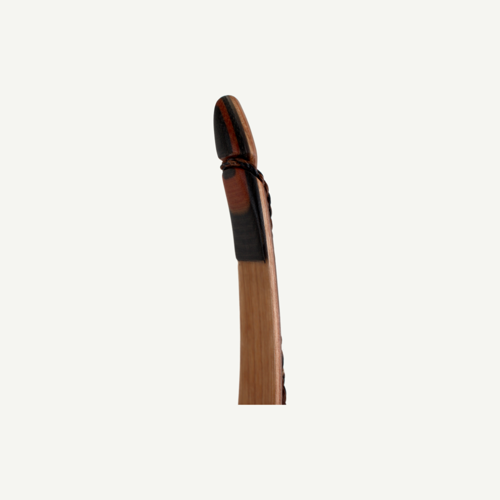 Bodnik Tombow Recurve Bogen