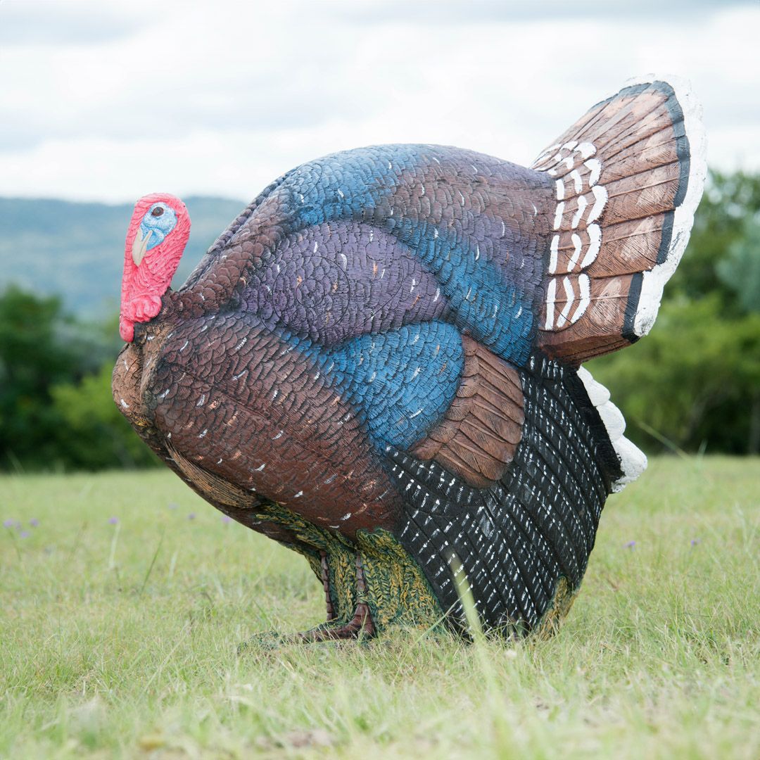 Wildcrete 3D Target - Truthahn