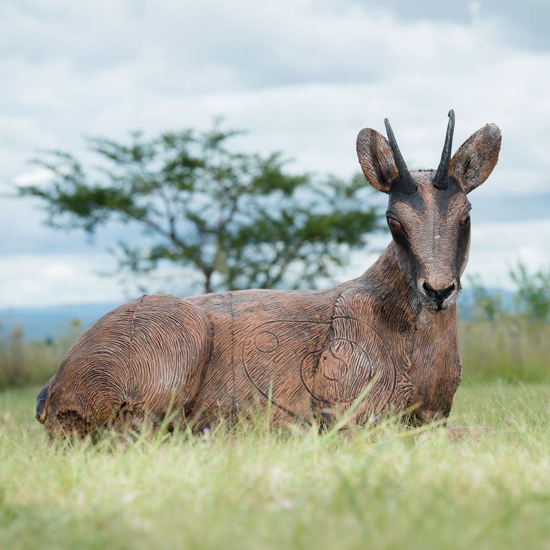 Wildcrete 3D Target - Gämse Jährling Eingebettet