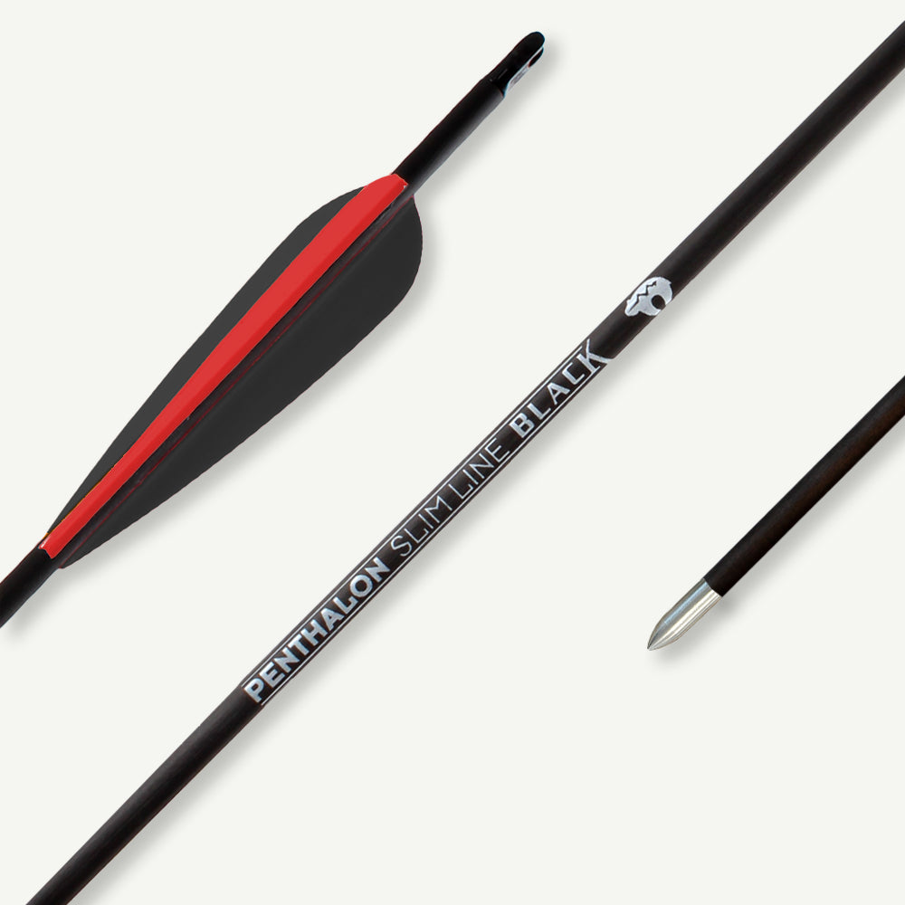 Penthalon Carbonpfeile Slim Line Black Fletches 1600
