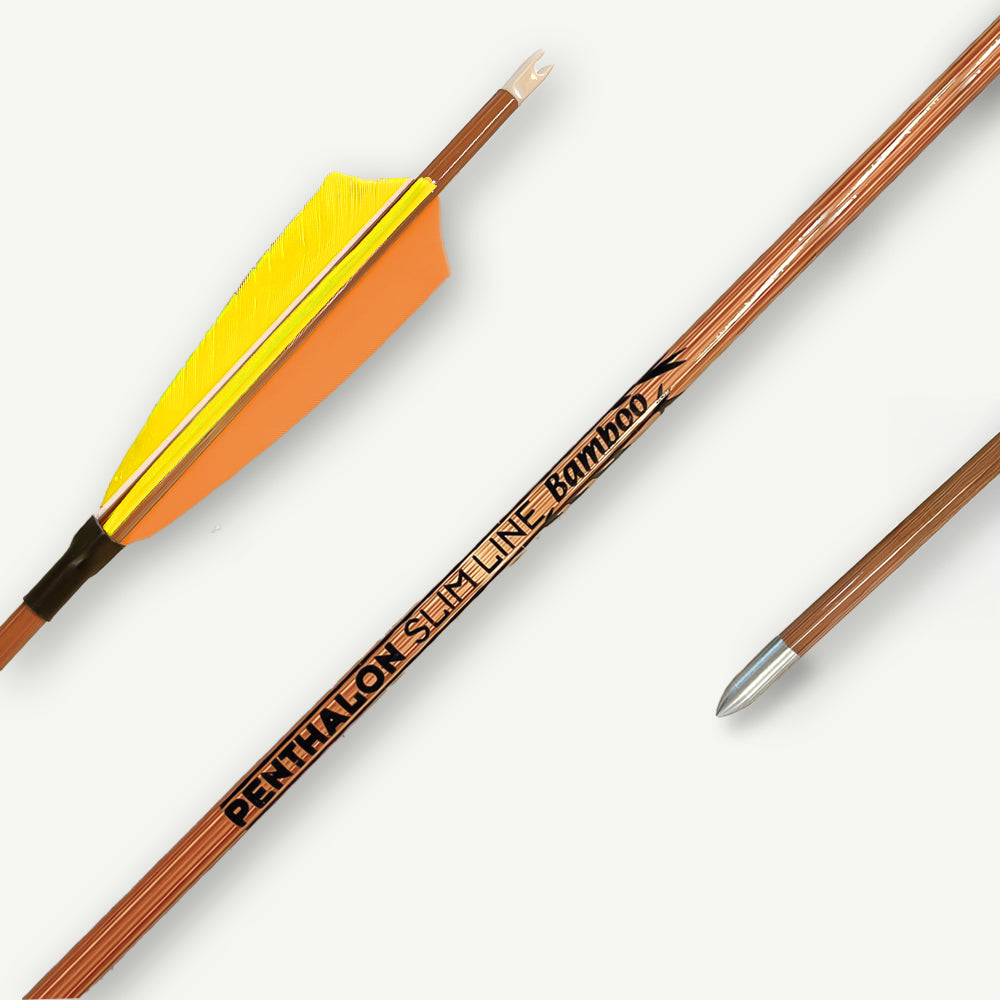 Penthalon Carbonpfeile Slim Line Bamboo Naturfedern 700