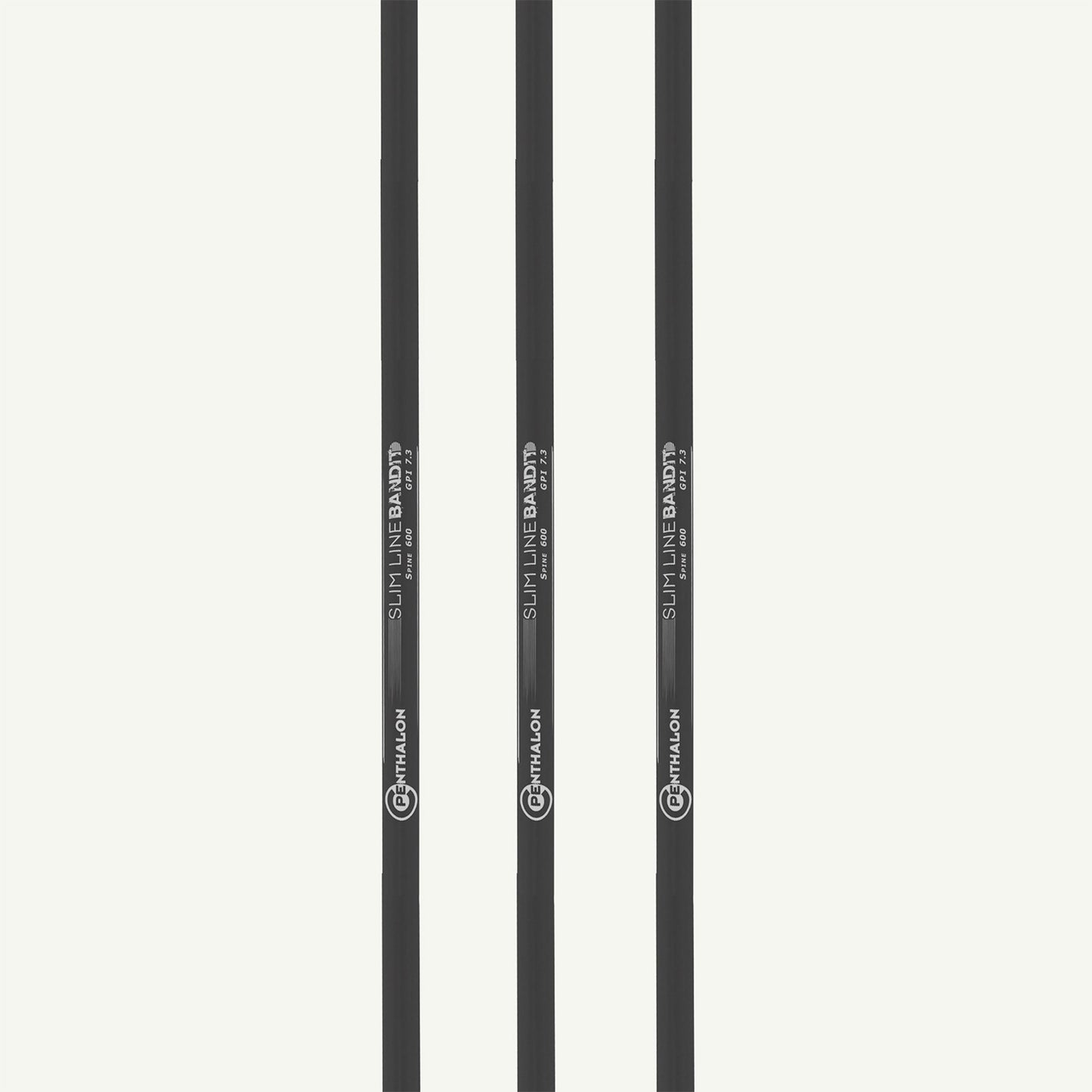 Penthalon Carbonschäfte Bandit Slim Line