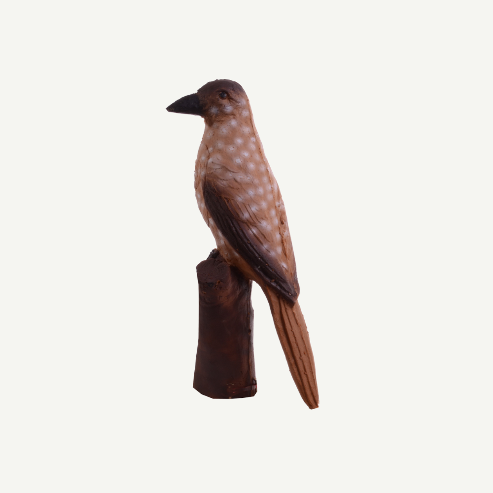 100464 IBB 3D Tier Tannenhäher