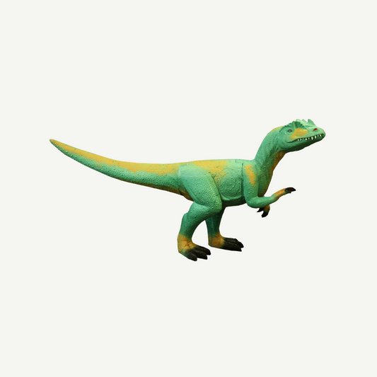 100482 IBB 3D Tier Raptor