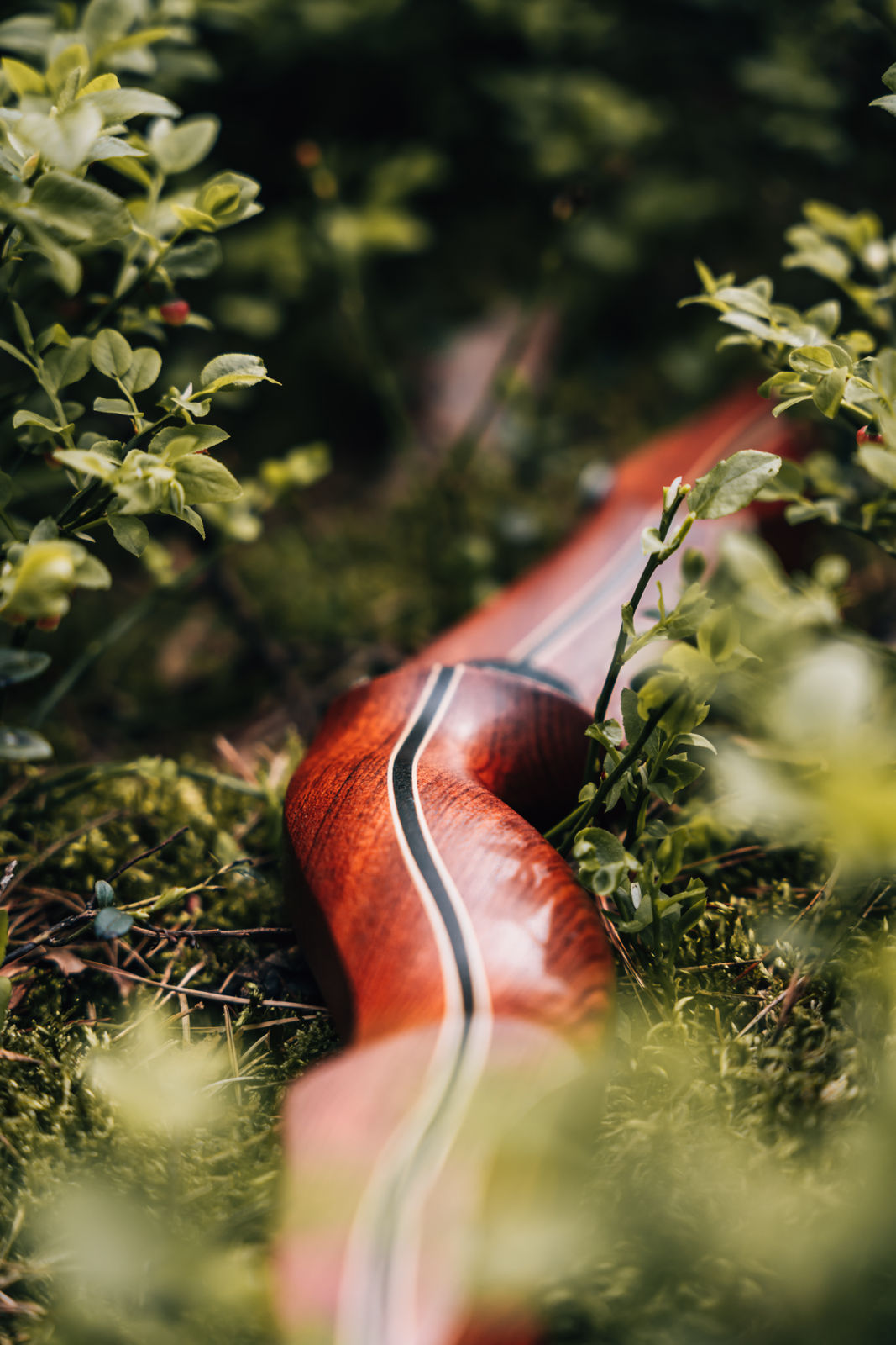 Bogen Mittelteil liegend im Wald