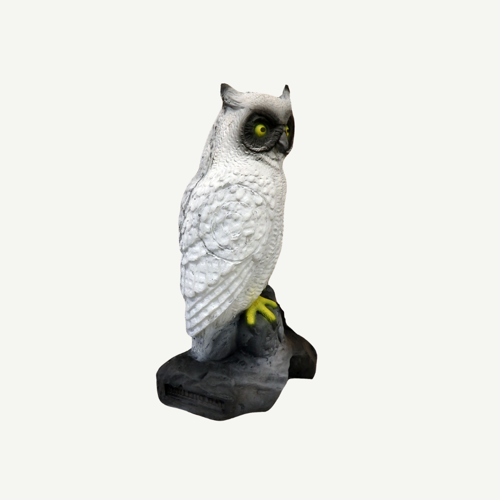 100212 Leitold Schneeeule