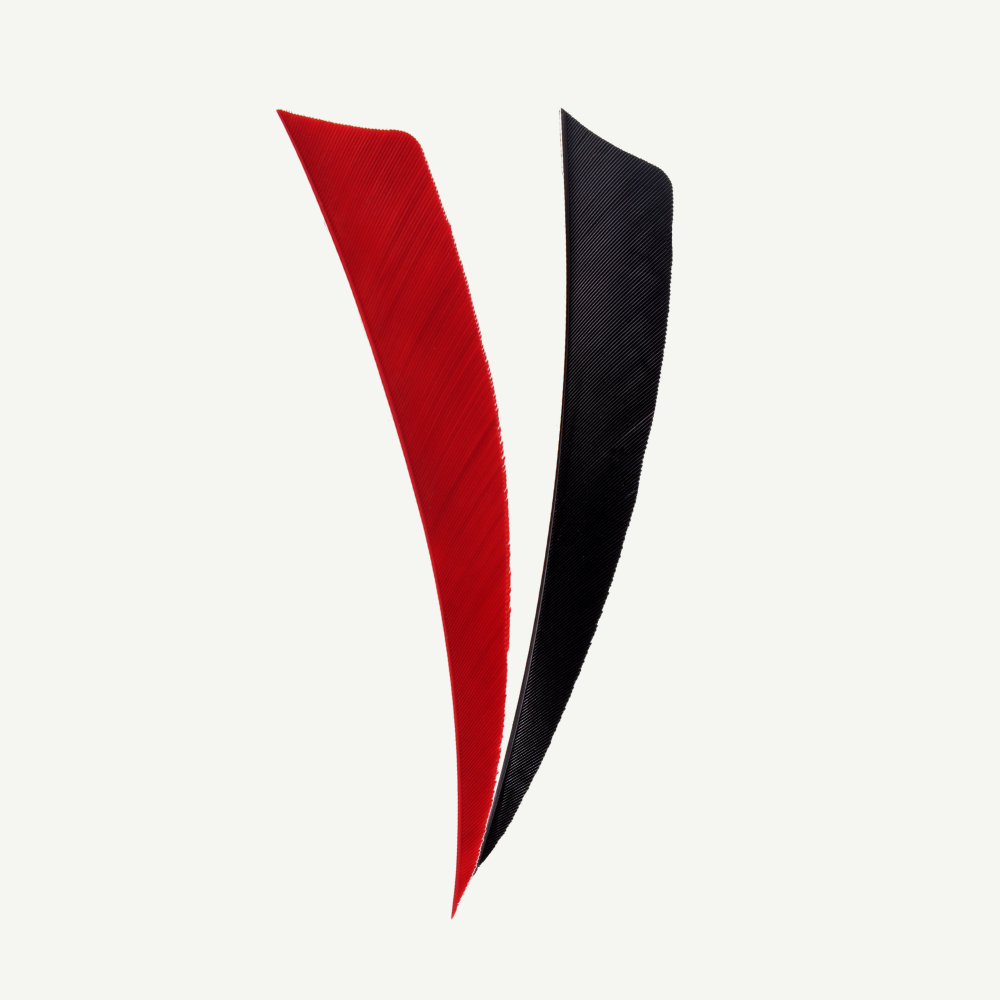 100528 Länder | Federn Set