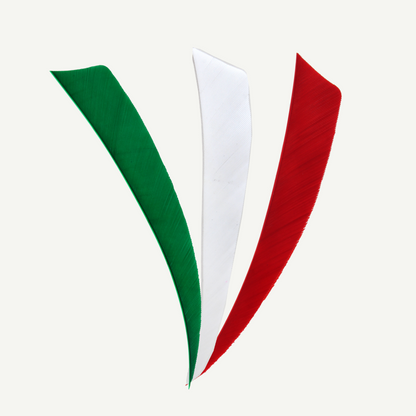 100528 Länder | Federn Set Italien