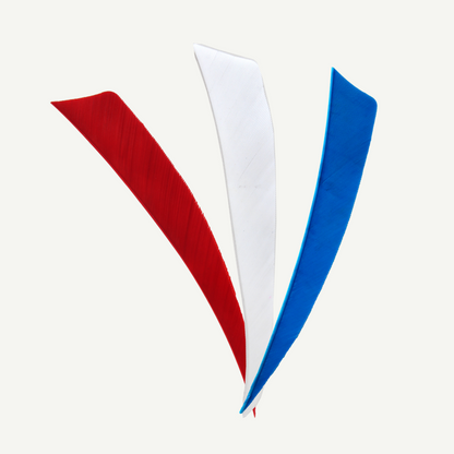 100528 Länder | Federn Set Niederlande