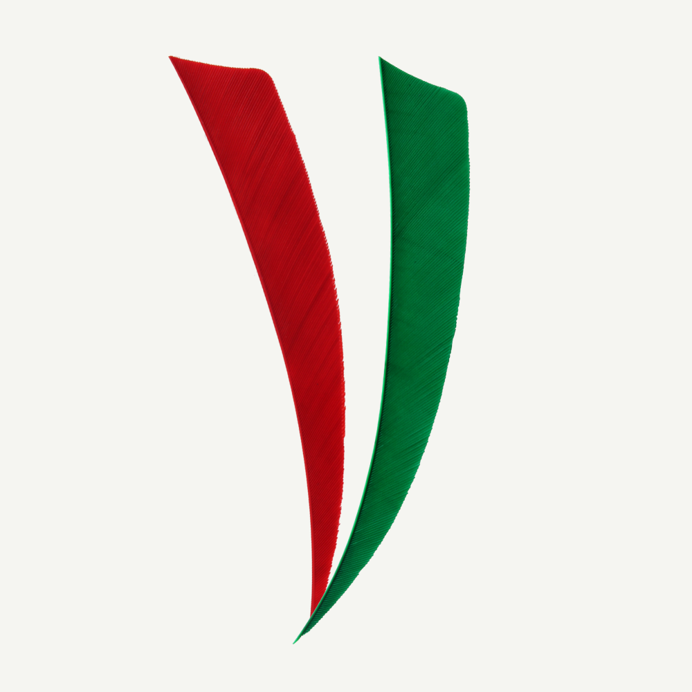 100528 Länder | Federn Set