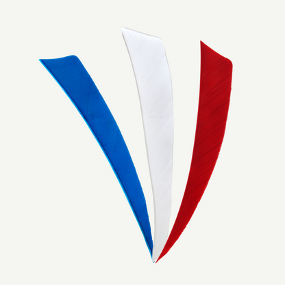 100528 Länder | Federn Set Tschechien