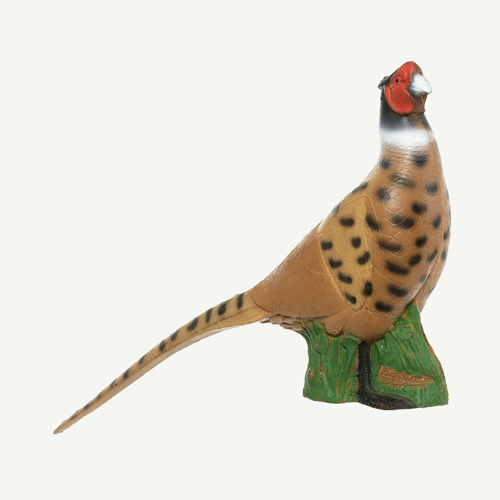 100935 IBB 3D Tier Fasan Edelfasan