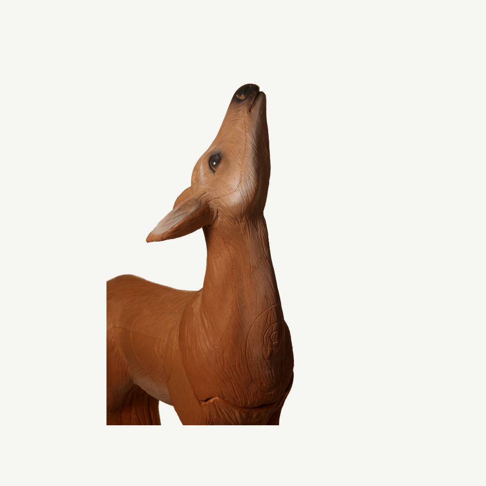 Longlife äsendes Reh