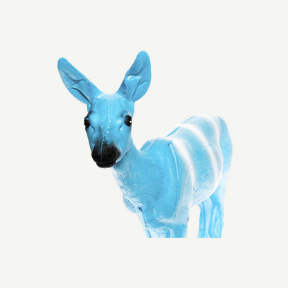 IBB 3D Tier Indigo Reh Pandora
