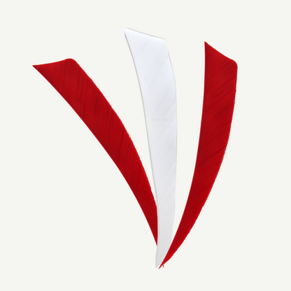 Länder | Federn Set Österreich