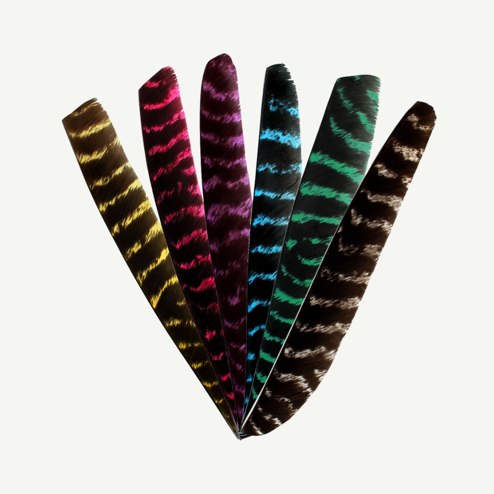 Feder RW Volle Länge naturgestreift