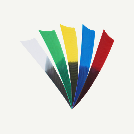 Feder RW Shield 4 Zoll Bicolor