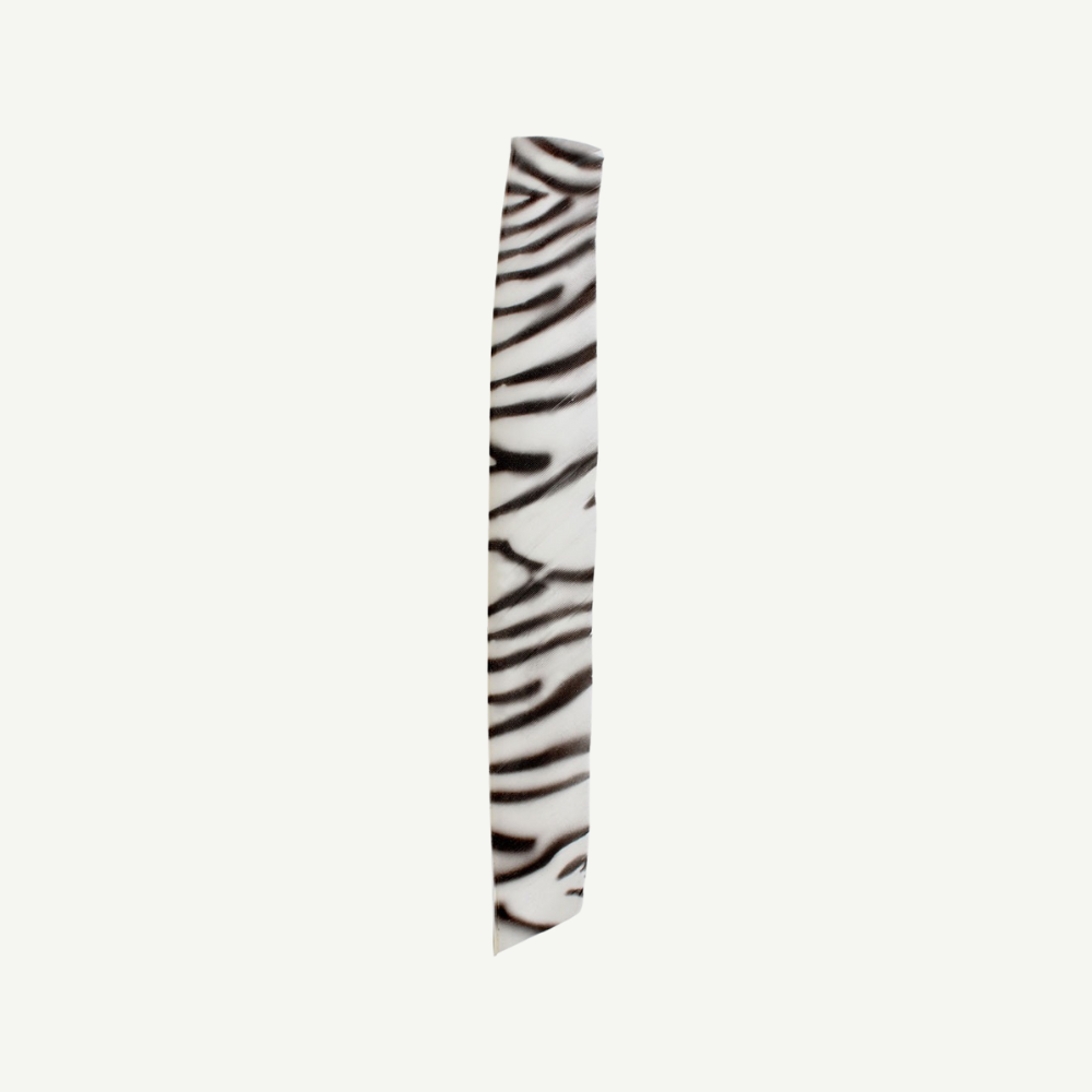 Feder RW Volle Länge zebra weiß schwarz