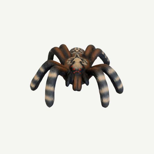 Leitold Kleine Vogelspinne