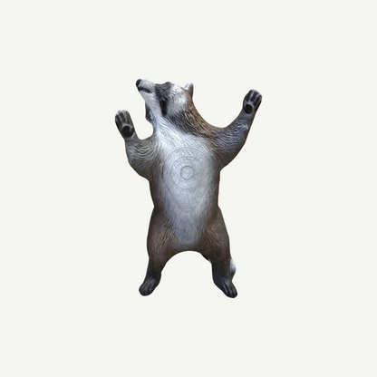 Leitold Waschbär kletternd