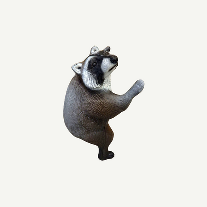 Leitold Waschbär kletternd