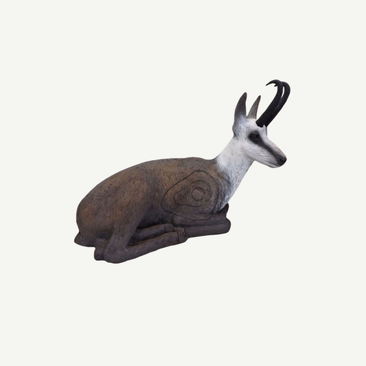 Leitold Gämse liegend