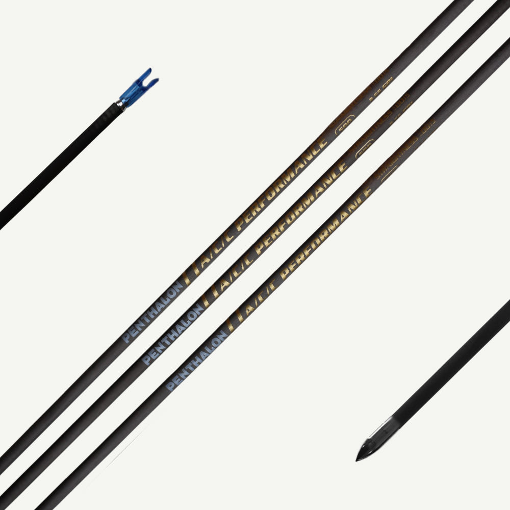 Penthalon Performance A/C/C Aluminium-Carbon Schaft (12 St.)