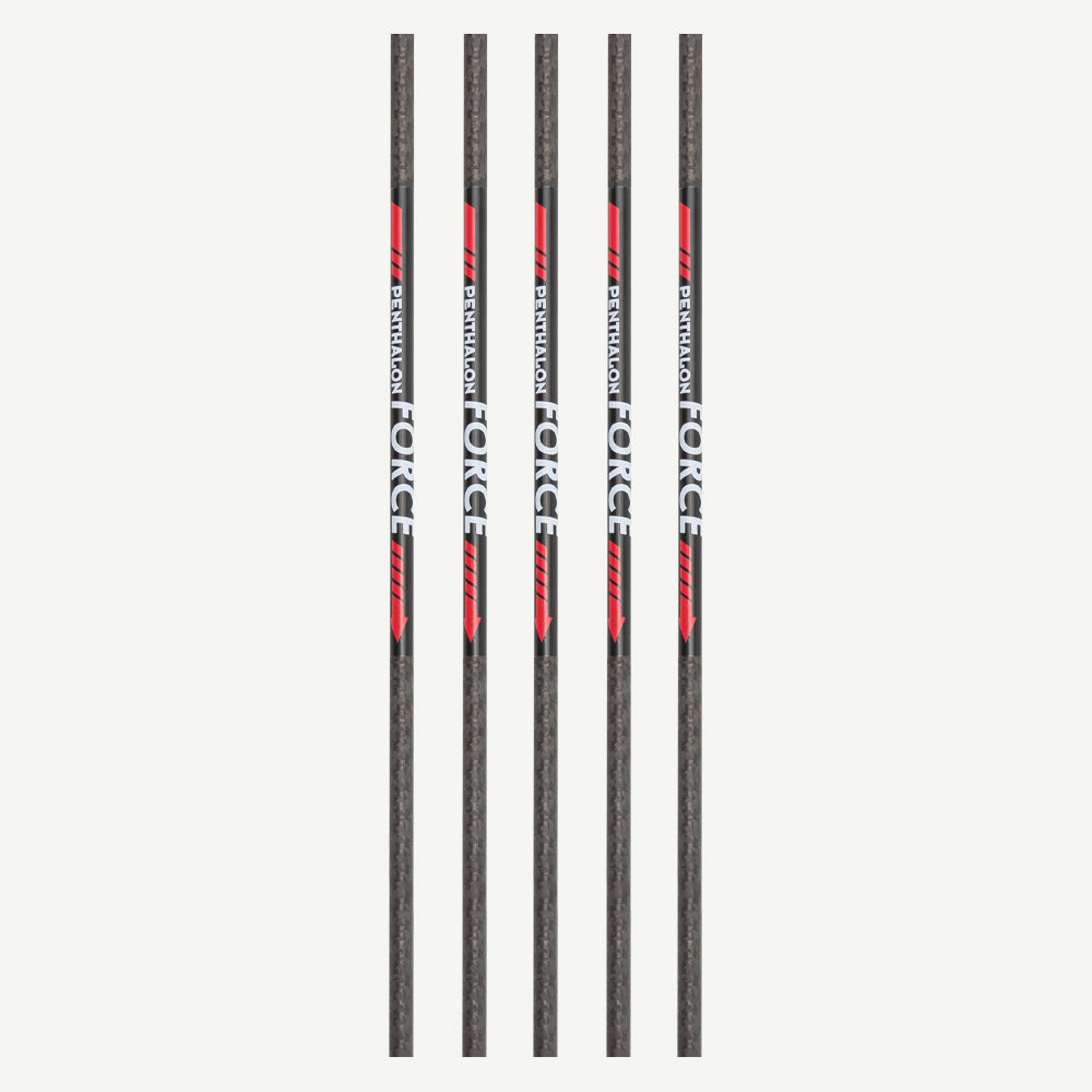 Penthalon Carbonschäfte Force 600
