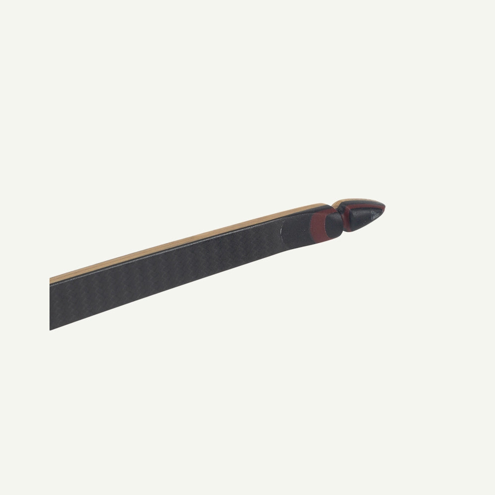 Bodnik Raven Carbon Langbogen