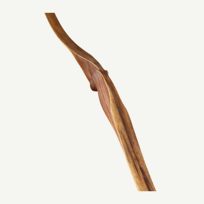 Bodnik Eagle Recurve Bogen