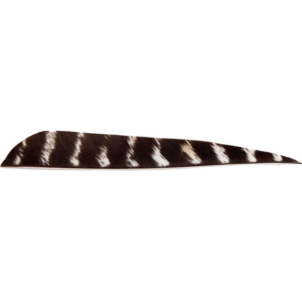 Feather RW Parabol 3 inch natural barred