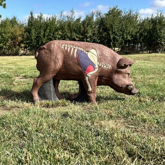 Wildcrete 3D Target - Wildschwein Vital Braun