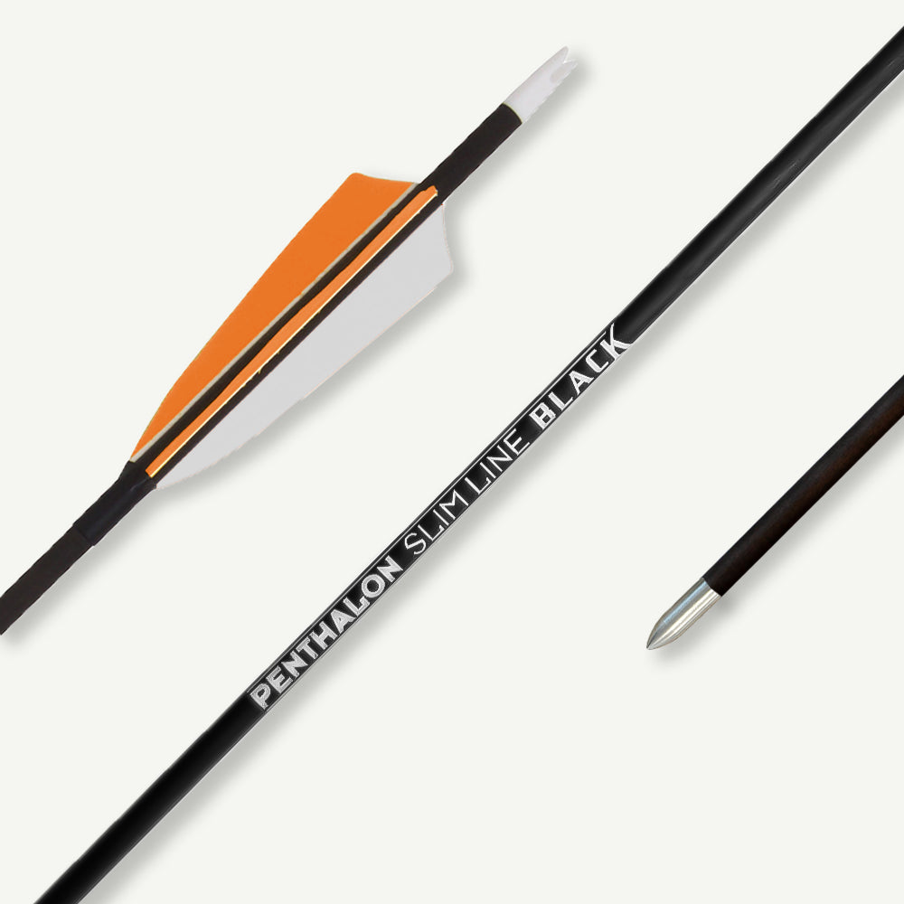 Penthalon Carbonpfeile Slim Line Black Naturfedern 800