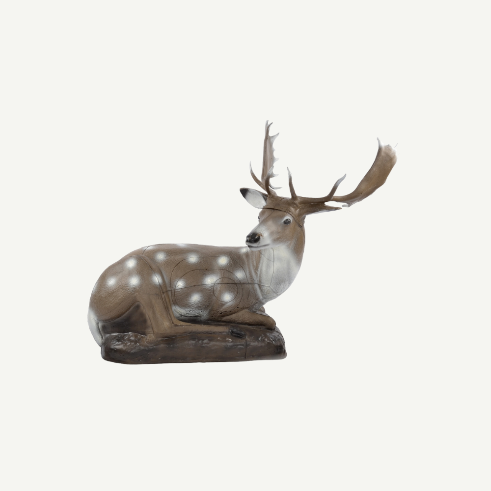 60240 3D Tier Franzbogen Damhirsch, liegend