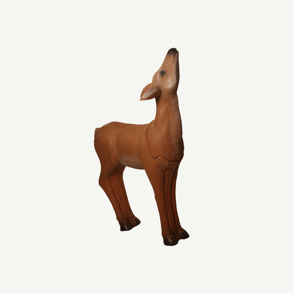 60424 Longlife äsendes Reh