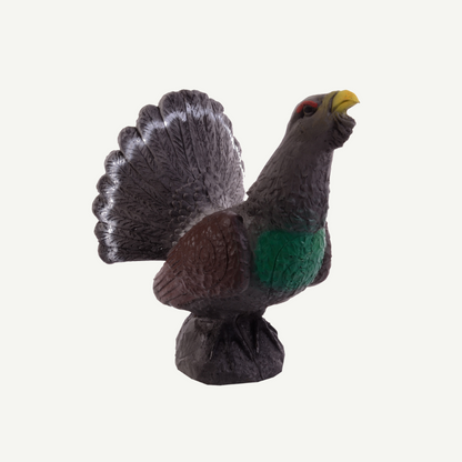 100413 IBB 3D Tier Auerhahn