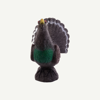 100413 IBB 3D Tier Auerhahn