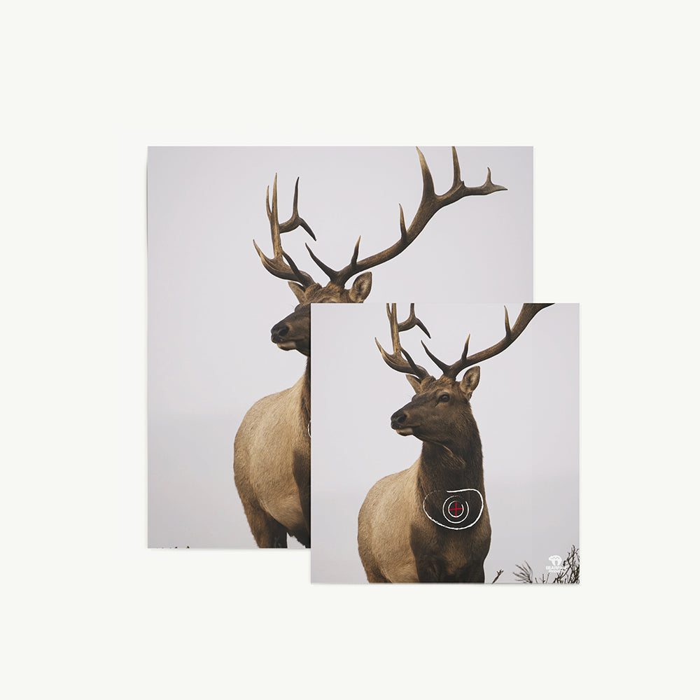 100083 Tierbild Zielscheibenauflage Hirsch 40 cm