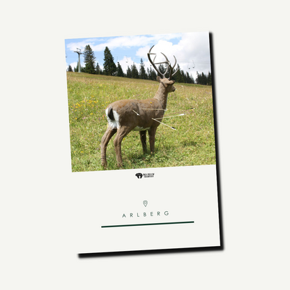 Tageskarte Erwachsene | Arlberg