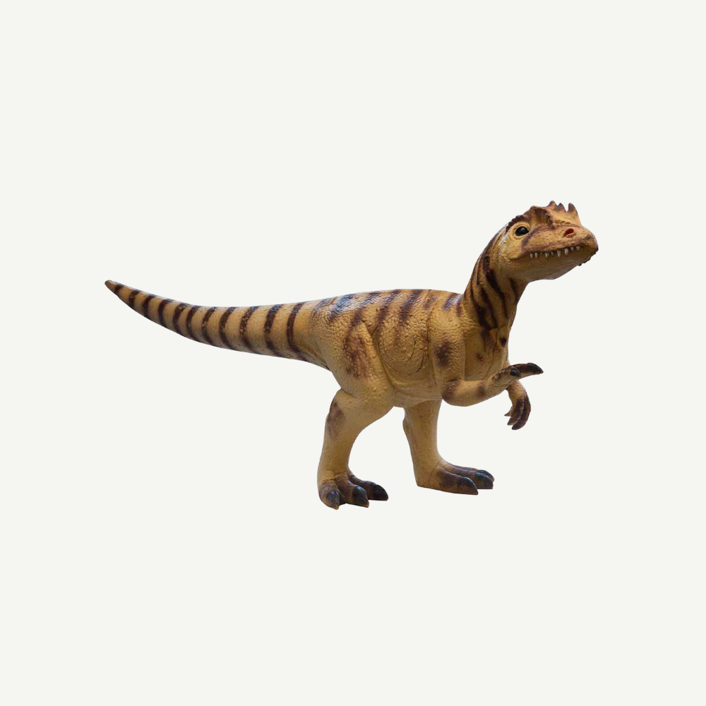 100482 IBB 3D Tier Raptor