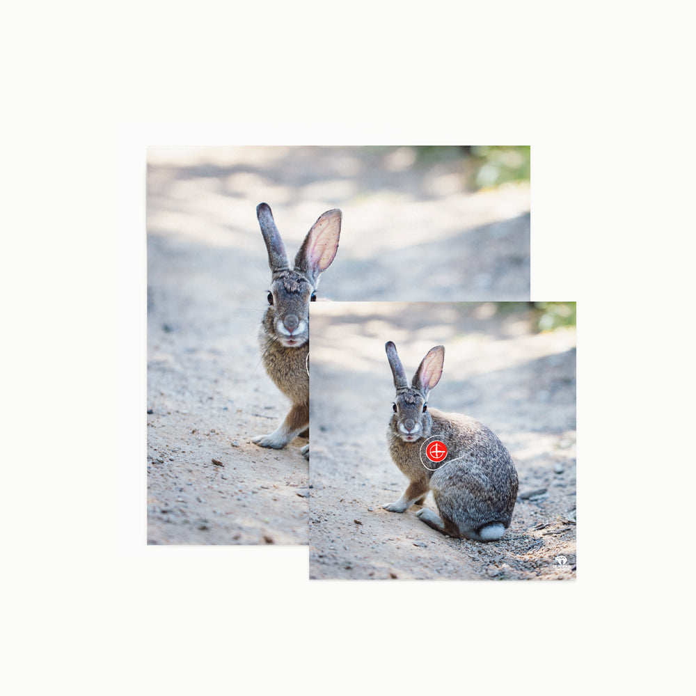 100083 Tierbild Zielscheibenauflage Hase 40 cm